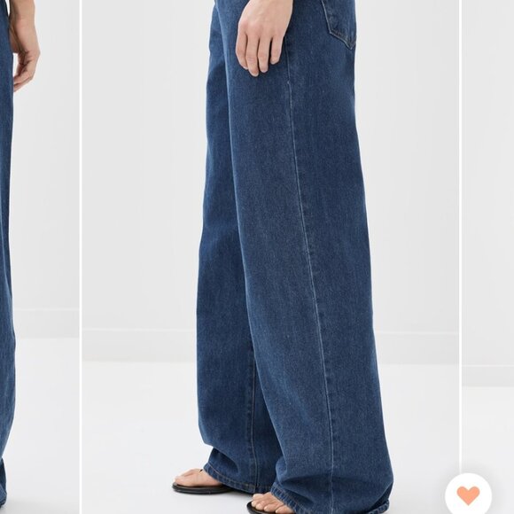 Lioness - Picture 3 of 3